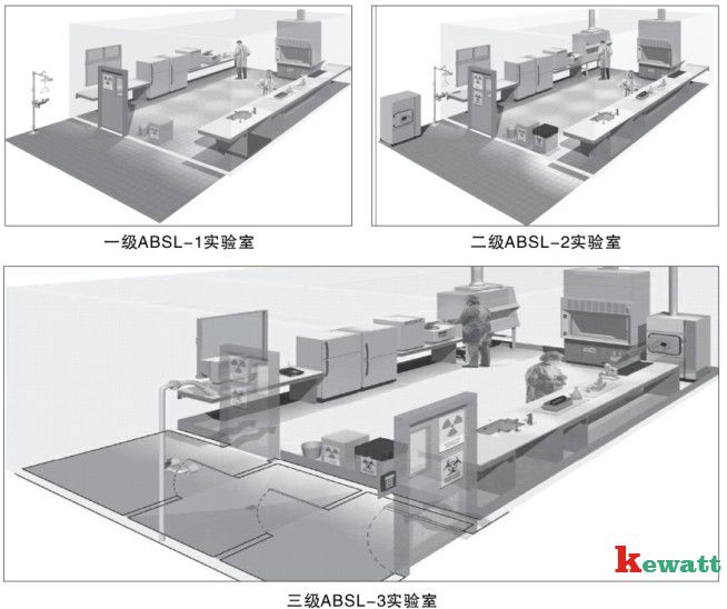 不同微生物實(shí)驗(yàn)室的3D立體圖