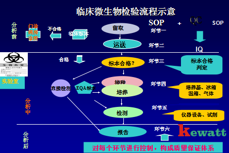 微生物實驗室檢驗流程圖